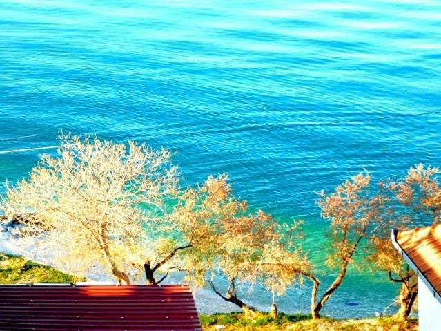 Littlevenice Appartme 50M From Sea Trogir Exterior photo